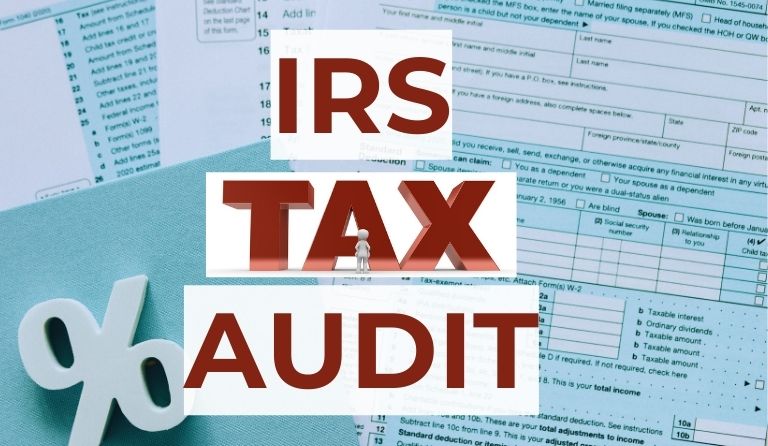 Why You Need a Tax Consultant During an IRS Audit?